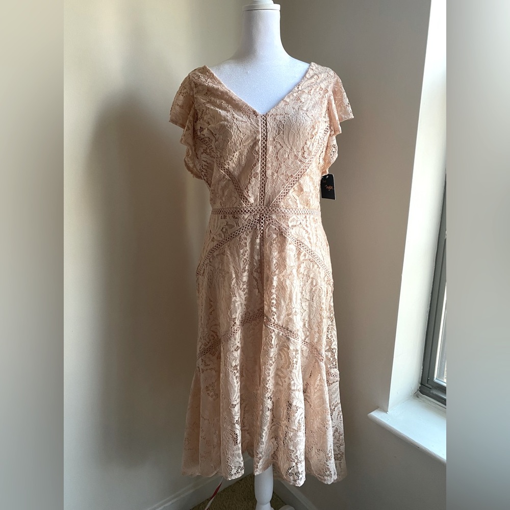 NWT! Light blush lace (subtle) high-low dress
